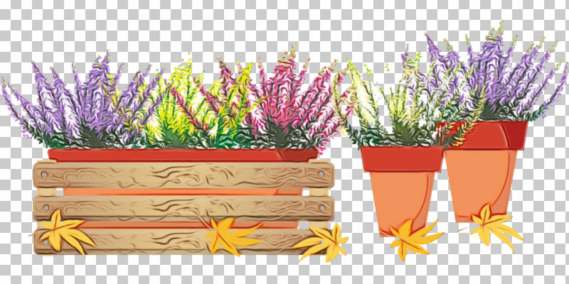 Cut Flowers Grasses Flowerpot With Saucer Hay Flower Flowerpot PNG, Clipart, Biology, Commodity, Cut Flowers, Flower, Flowerpot Free PNG Download