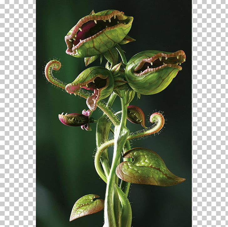 Carnivorous Plant Carnivore Venus Flytrap Eating PNG, Clipart, Anguloa, Antirrhinum Majus, Bee Balm, Carnivore, Carnivorous Plant Free PNG Download