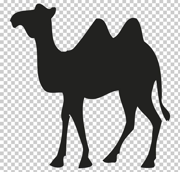 Dromedary Bactrian Camel Sticker Logo PNG, Clipart, Adhesive, Animal, Arabian Camel, Art, Bactrian Camel Free PNG Download