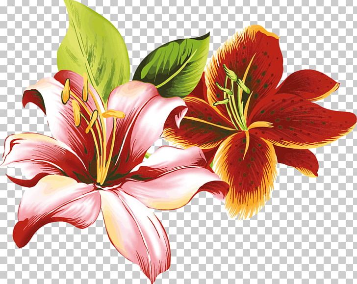 Hemerocallis Fulva Flower Lilium PNG, Clipart, Blue, Clip Art, Color, Coloring Book, Daylily Free PNG Download