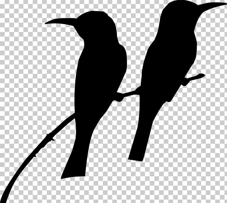Hummingbird Silhouette PNG, Clipart, Animals, Beak, Bird, Birds Silhouette, Black And White Free PNG Download