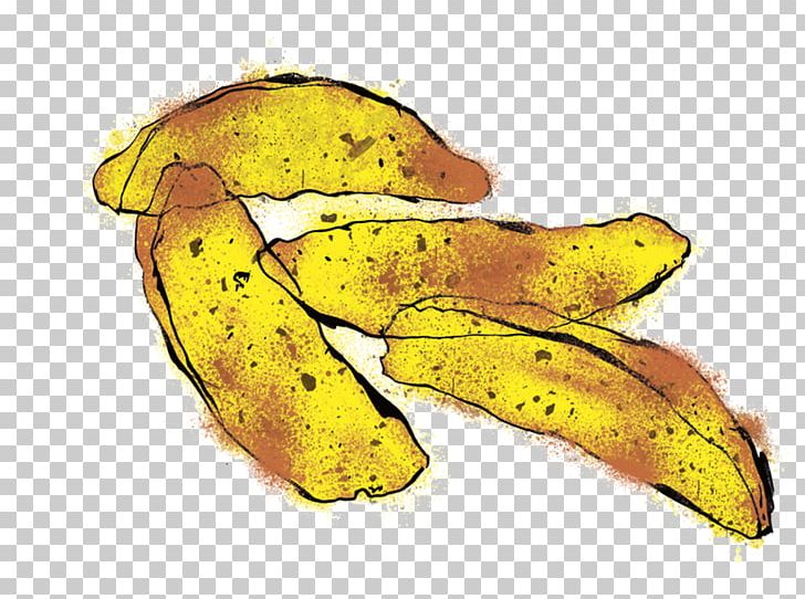 Saba Banana Cooking Banana PNG, Clipart, Banana, Banana Family, Cooking, Cooking Banana, Cooking Plantain Free PNG Download