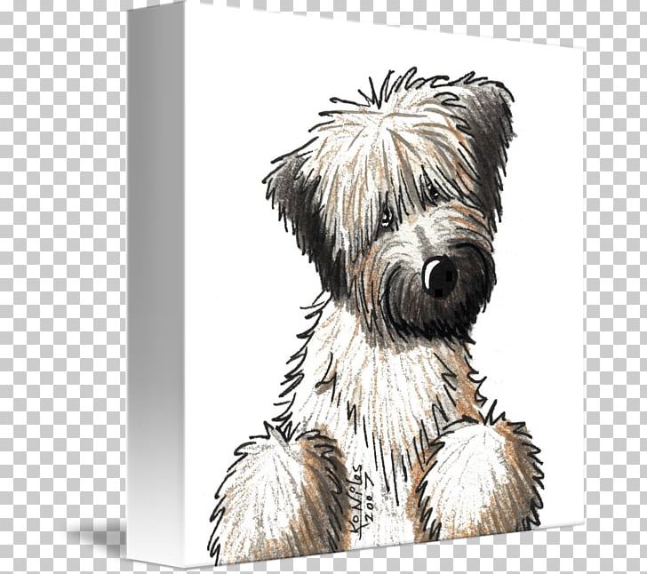 Skye Terrier Soft-coated Wheaten Terrier Glen Cairn Terrier Border Terrier PNG, Clipart, Affenpinscher, Animals, Carnivoran, Companion Dog, Dog Breed Free PNG Download