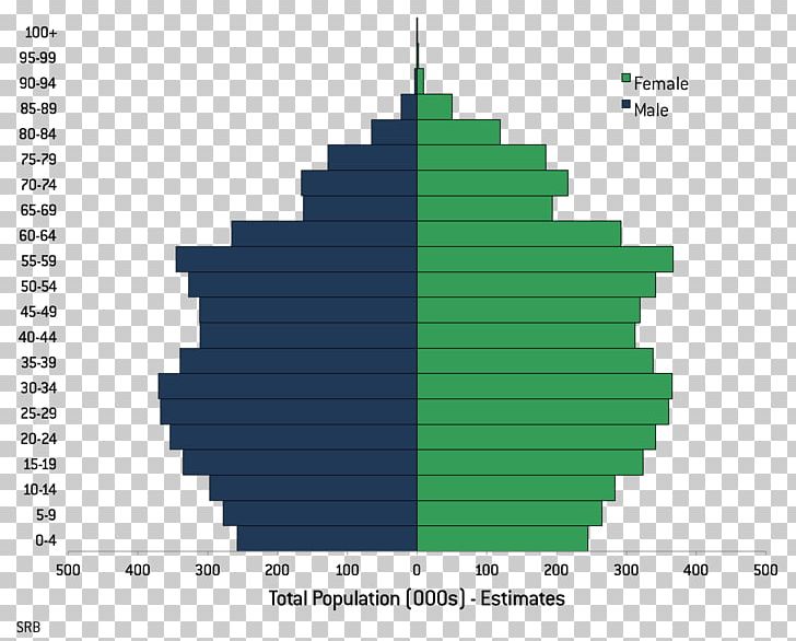 Total Fertility Rate Population Pyramid Literacy Japan PNG, Clipart, Birth Rate, Demographics Of Mauritius, Demographic Transition, Diagram, Education Free PNG Download