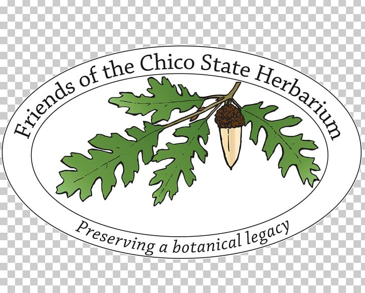 California State University PNG, Clipart, Branch, California, California State University Chico, Chico, Flowering Plant Free PNG Download