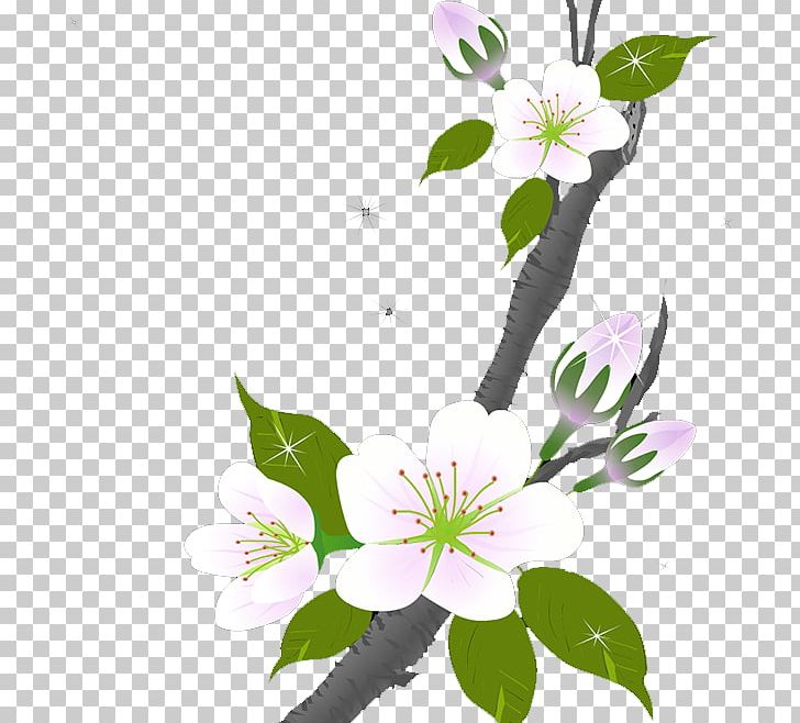 Floral Design Flower Plum Blossom PNG, Clipart, Blossom, Branch, Branches, Download, Flora Free PNG Download