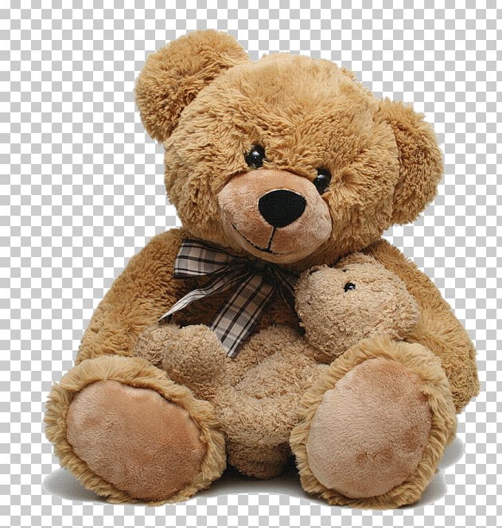 Teddy Bear PNG, Clipart, Teddy Bear Free PNG Download