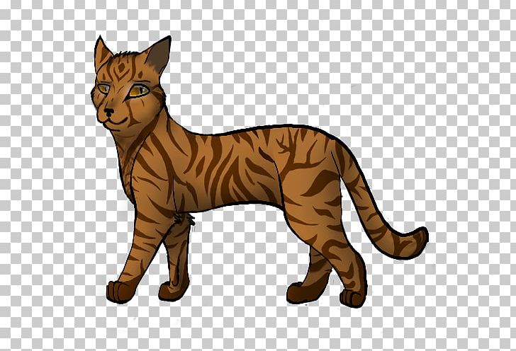 Cats Of The Clans Warriors Whiskers Birchfall PNG, Clipart, Animals, Ashfur, Big Cats, Birchfall, Blossomfall Free PNG Download