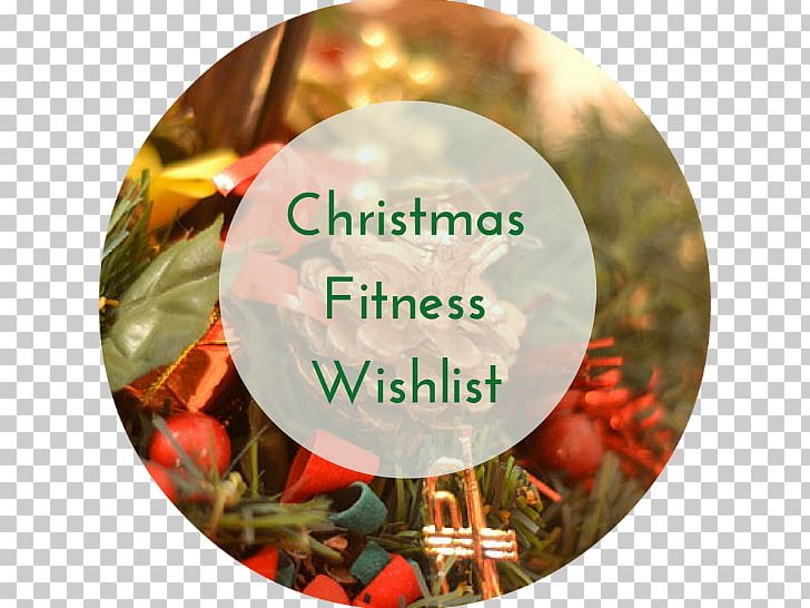 Christmas Ornament PNG, Clipart, Christmas, Christmas Decoration, Christmas Ornament, Holidays, Medicine Balls Free PNG Download