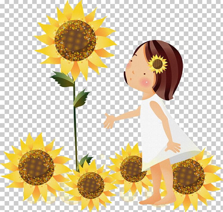Common Sunflower PNG, Clipart, Cartoon, Commodity, Common Sunflower, Daisy Family, Download Free PNG Download