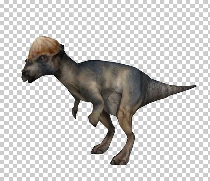 Jurassic Park: Operation Genesis Pachycephalosaurus Warpath: Jurassic Park Homalocephale Tyrannosaurus PNG, Clipart, Dinosaur, Fantasy, Genesis, Jurassic, Jurassic Park Free PNG Download