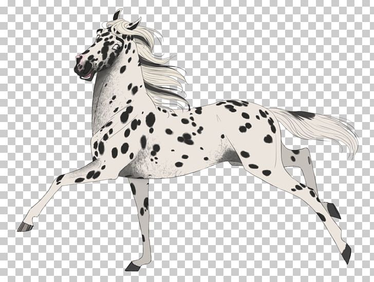Appaloosa Mustang Drawing PNG, Clipart, Concept Art, Deviantart, Drawing, Figurine, Film Free PNG Download