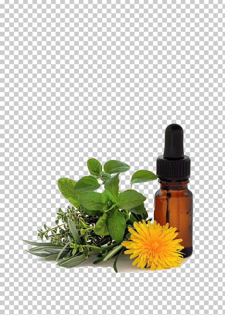 Bach Flower Remedies Therapy Homeopathy Physician Emotion PNG, Clipart, Alternative Health Services, Beauty, Candle Light, Candles, Coconut Free PNG Download