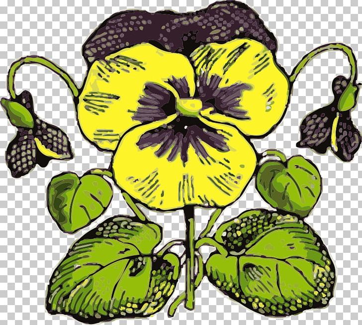 Flower Pansy PNG, Clipart, Color, Drawing, Flora, Flower, Flowering Plant Free PNG Download