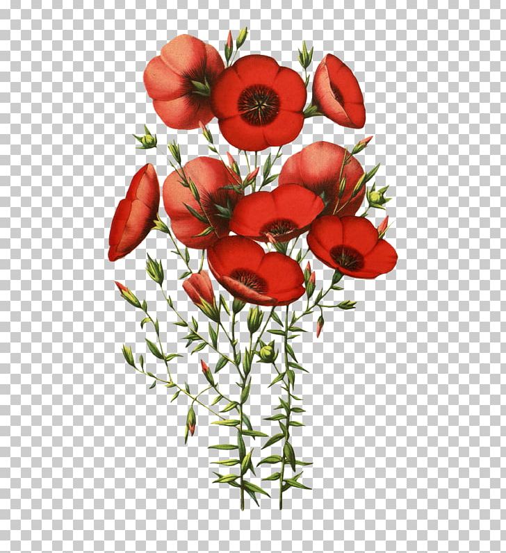 Garden Roses Flower Floral Design Japanese Morning Glory PNG, Clipart, Artificial Flower, Color, Desktop Wallpaper, Floral Design, Floristry Free PNG Download