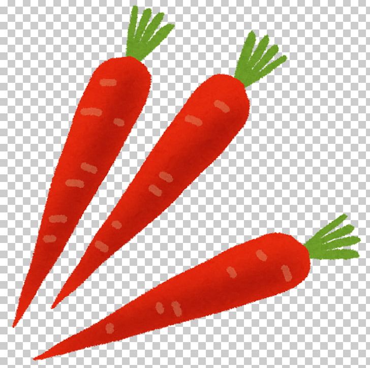 Carrot Bird's Eye Chili Vegetable Food Salt PNG, Clipart,  Free PNG Download