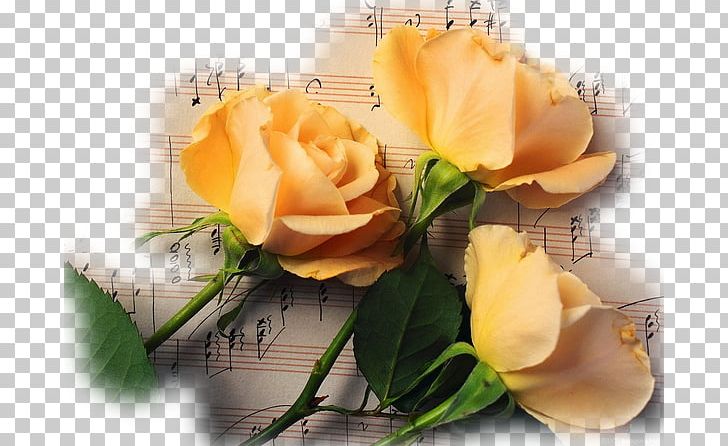 Musical Note Flower Rose PNG, Clipart, 1080p, Artificial Flower, Bud, Cut Flowers, Floral Design Free PNG Download