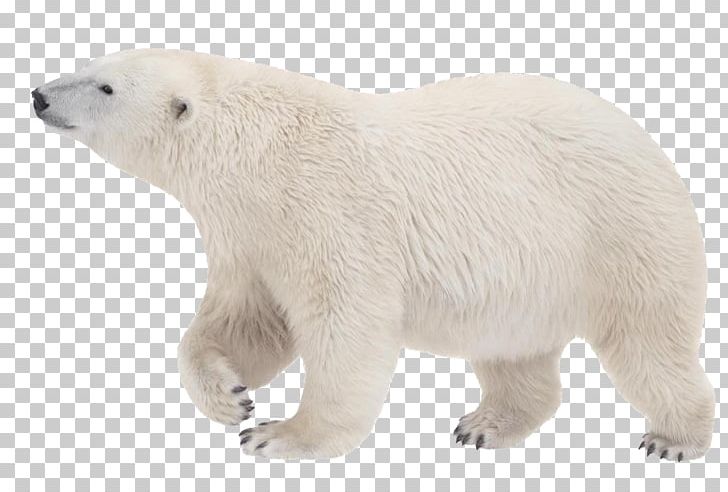 Polar Bear Kodiak Bear Arctic PNG, Clipart, Animal Figure, Animals, Arctic, Bear, Bears Free PNG Download