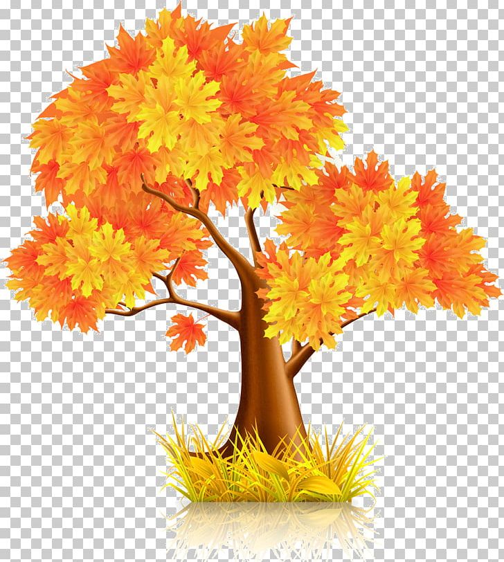 Tree Red Maple PNG, Clipart, Arbre, Autumn Leaf Color, Can Stock Photo, Cdr, Cut Flowers Free PNG Download