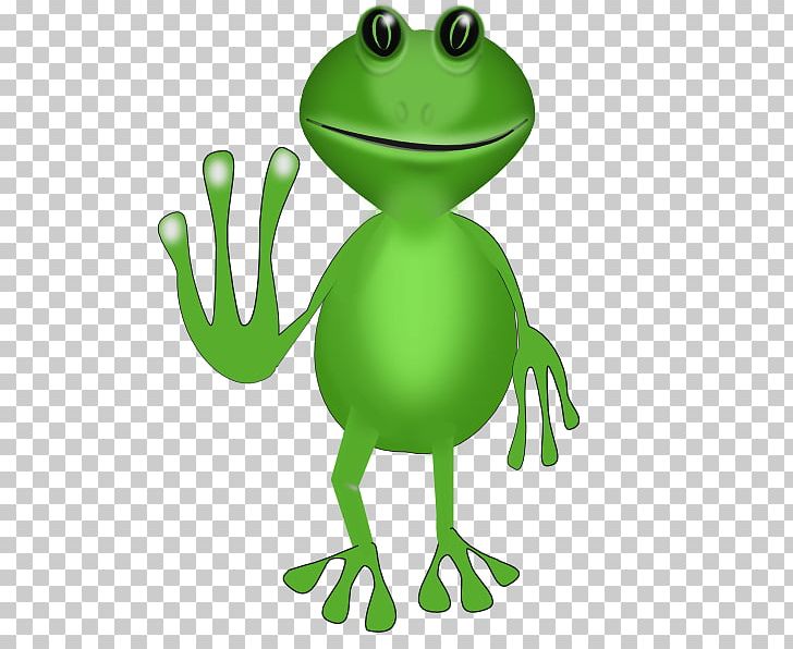 True Frog Tree Frog Toad PNG, Clipart, Amphibian, Animals, Frog, Green, Hopfrog Free PNG Download