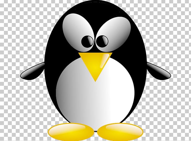 Penguin Bird Tux Racer Antarctica PNG, Clipart, Animals, Antarctica, Beak, Bird, Cartoon Free PNG Download