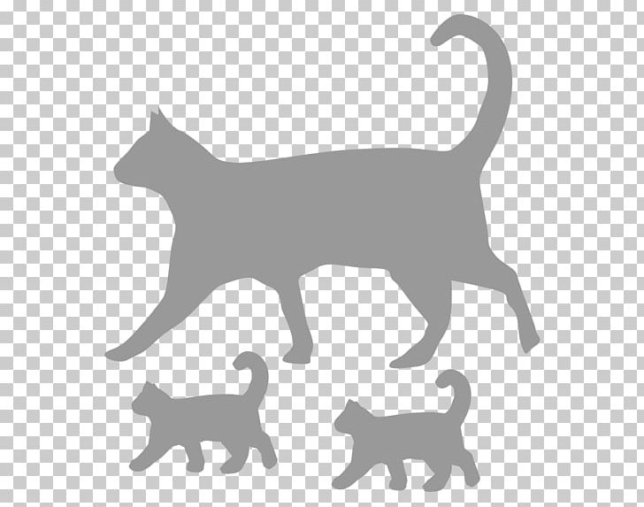 Kitten Whiskers Domestic Short-haired Cat Dog PNG, Clipart, Animals, Black, Carnivoran, Cat Like Mammal, Child Free PNG Download