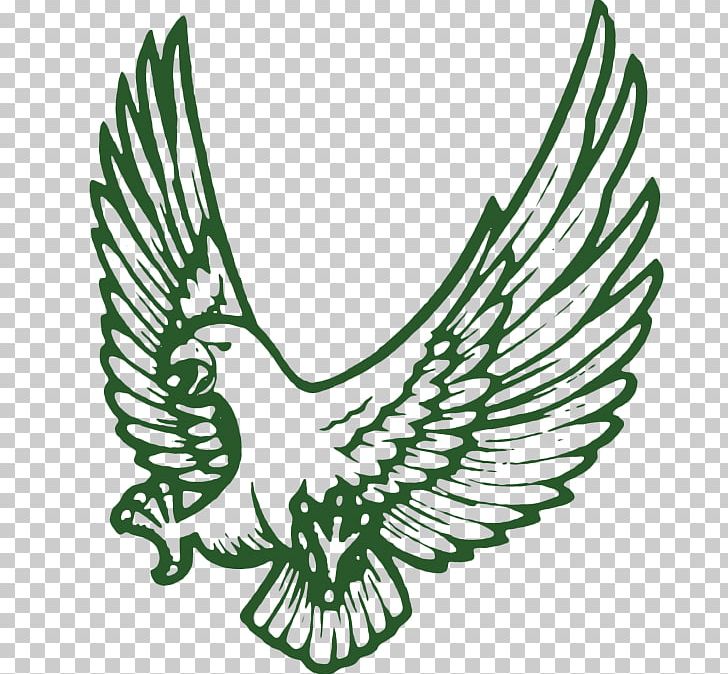 Northwest High School Meadowcreek High School National Secondary School Catholic School PNG, Clipart, Alumnus, Beak, Bird, Black And White, Catholic School Free PNG Download