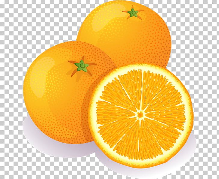 Orange Fruit PNG, Clipart, Bitter Orange, Citric Acid, Citron, Citrus, Clementine Free PNG Download