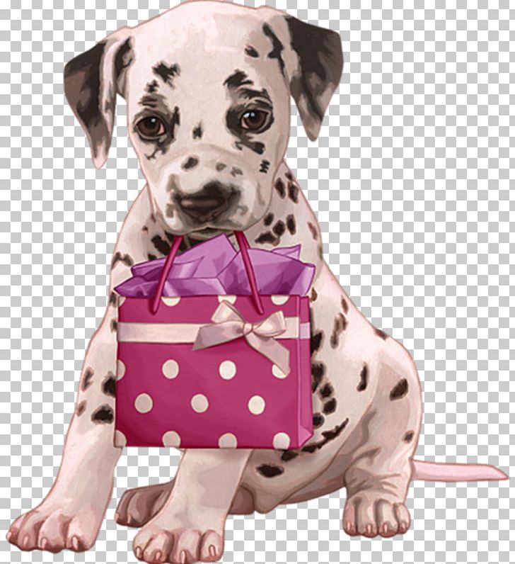 Puppy Dalmatian Dog Labrador Retriever Yorkshire Terrier Kitten PNG, Clipart, Animals, Carnivoran, Companion Dog, Cuteness, Dalmatian Free PNG Download