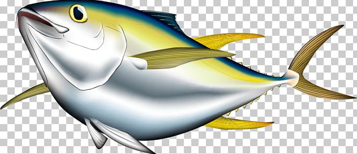 Bigeye Tuna Albacore Pacific Bluefin Tuna Yellowfin Tuna Illustration PNG, Clipart, Animals, Bony Fish, Cartoon Character, Cartoon Eyes, Cartoon Fish Free PNG Download