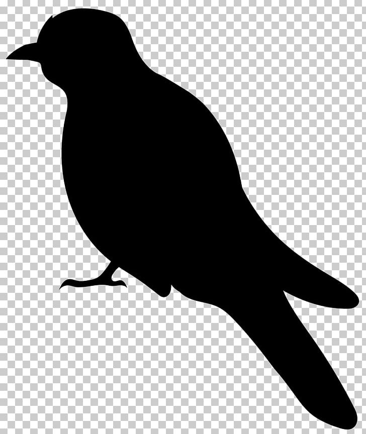 Bird Silhouette PNG, Clipart, Beak, Bird, Bird Flight, Black And White, Clipart Free PNG Download