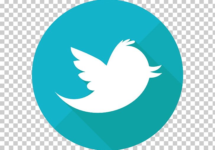 Logo Social Media United States PNG, Clipart, Aqua, Beak, Bird, Brand, Business Free PNG Download