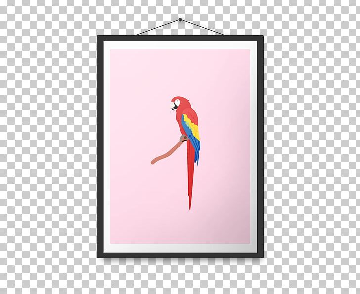 Macaw Parrot Beak Penguin Visual Arts PNG, Clipart, Animal, Animals, Beak, Bird, Feather Free PNG Download