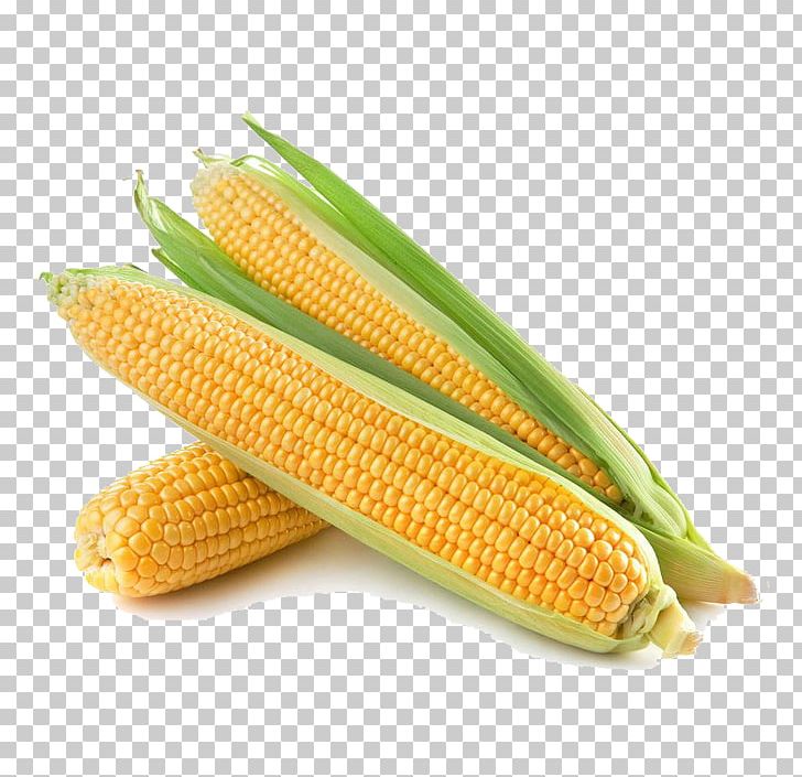 Olathe Corn On The Cob Sweet Corn Festival Maize PNG, Clipart, Bright, Bright Coloured, Clean, Coloured, Commodity Free PNG Download