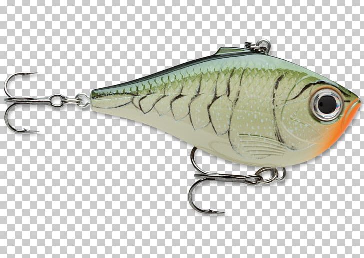 Spoon Lure Plug Fishing Baits & Lures Rapala PNG, Clipart, Bait, Bass Worms, Craw, Fish, Fishing Free PNG Download