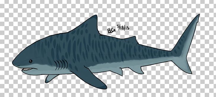 Tiger Shark Drawing Cartoon PNG, Clipart, Animal Figure, Animals, Animation, Carcharhiniformes, Cartilaginous Fish Free PNG Download