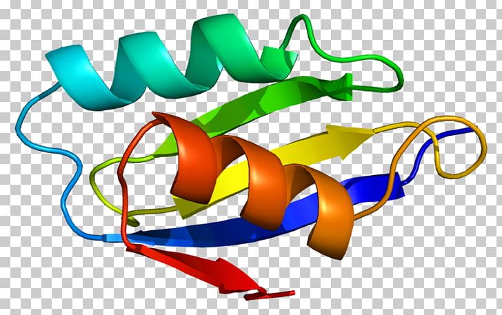 ATP7A Menkes Disease Wilson Disease Protein Golgi Apparatus PNG, Clipart, Area, Artwork, Atp7a, Atpase, Atp Hydrolysis Free PNG Download