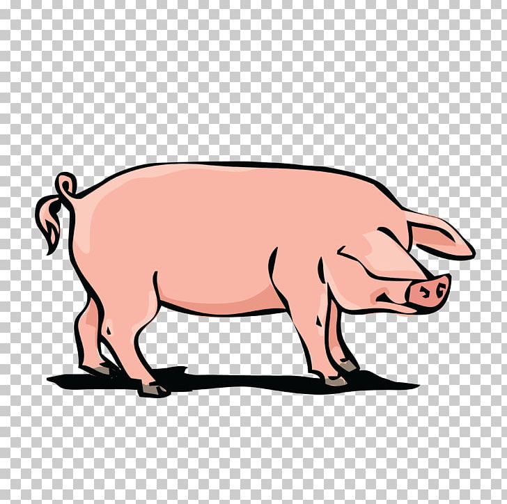 Domestic Pig Pork PNG, Clipart, Animal Figure, Animals, Boar, Cattle Like Mammal, Clip Art Free PNG Download