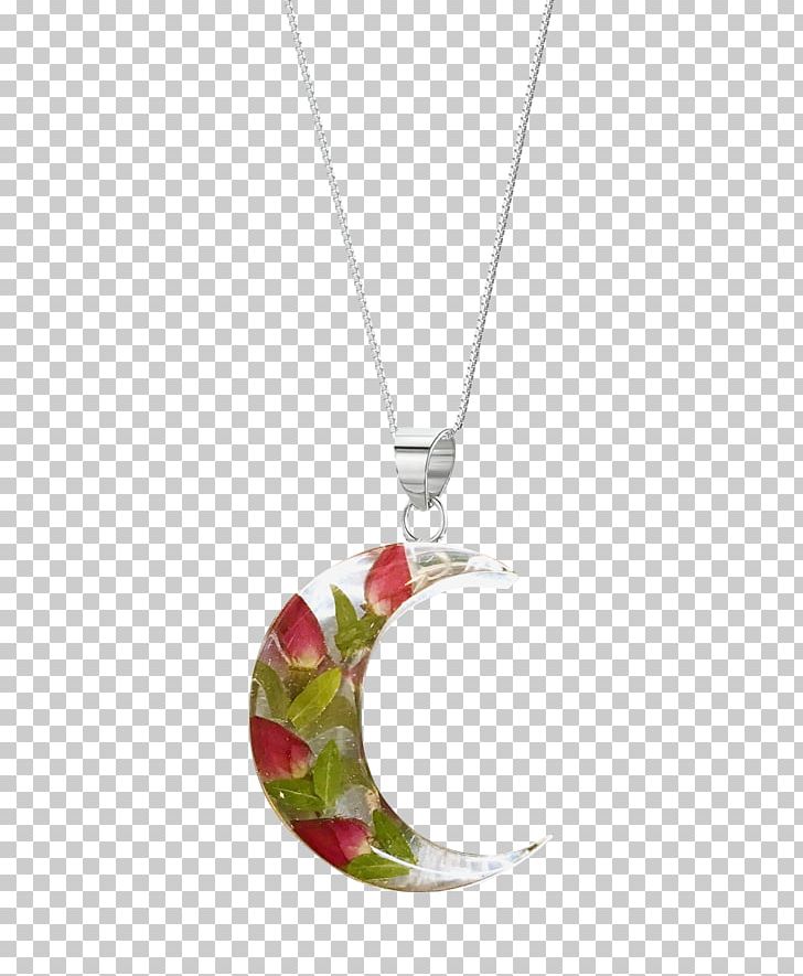 Locket Necklace Charms & Pendants Sterling Silver PNG, Clipart, Body Jewellery, Body Jewelry, Charms Pendants, Fashion, Fashion Accessory Free PNG Download