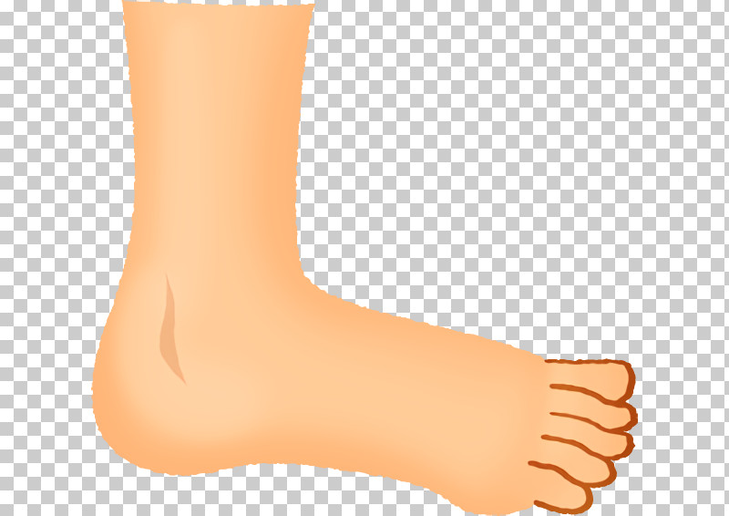 Orange PNG, Clipart, Ankle, Foot, Human Leg, Joint, Leg Free PNG Download