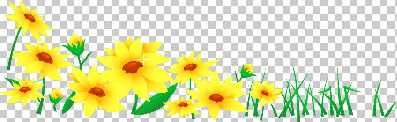 Flower Border Flower Background PNG, Clipart, Cut Flowers, Flower, Flower Background, Flower Border, Petal Free PNG Download