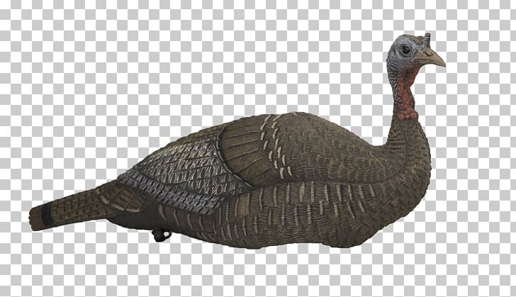 Goose Duck Turkey Decoy Galliformes PNG, Clipart, Animal, Animal Figure, Animals, Beak, Bird Free PNG Download