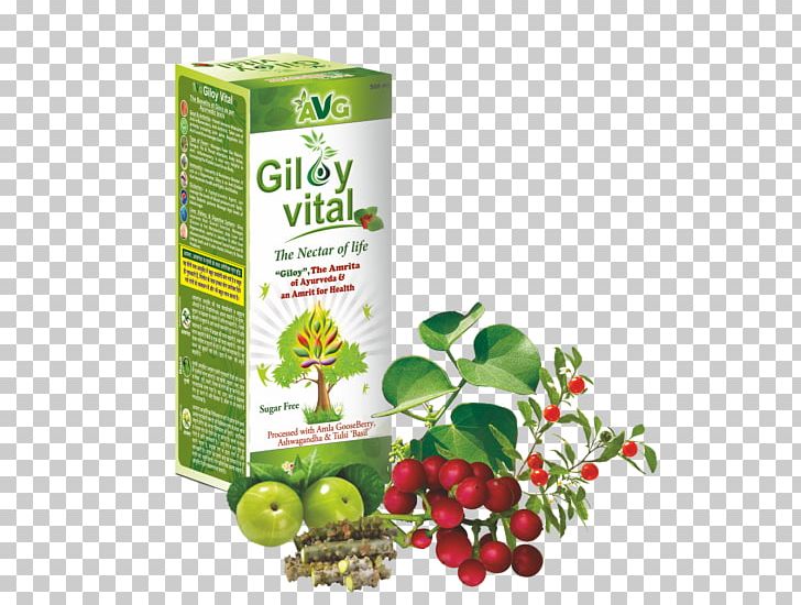Juice Health Apple Cider Vinegar Medicine Herb PNG, Clipart, Apple Cider Vinegar, Bioactive Compound, Diabetes Mellitus, Food, Fruit Free PNG Download