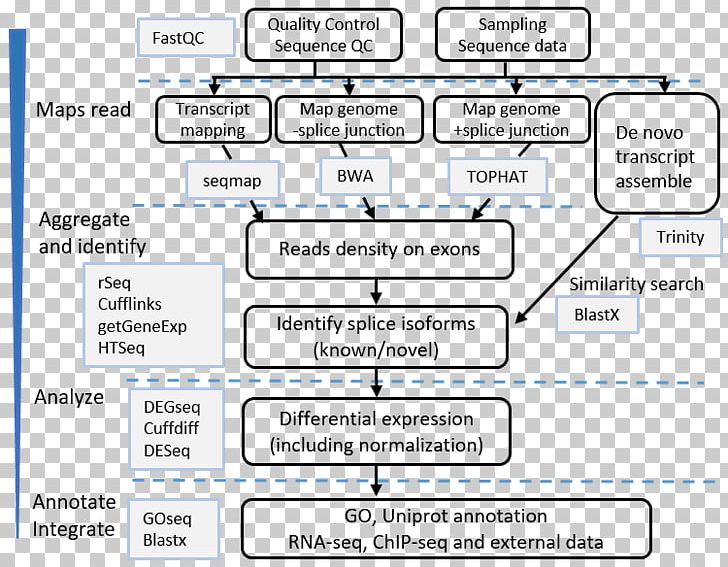 RNA-Seq ChIP-sequencing Pipeline PNG, Clipart, Analytics, Angle, Area, Assembly, Chipsequencing Free PNG Download