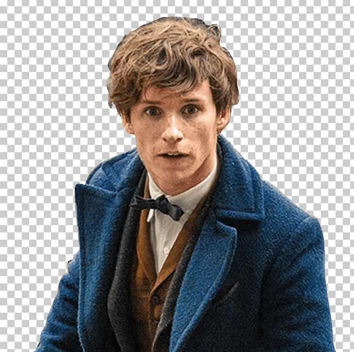 Fantastic Beasts And Where To Find Them Newt Scamander David Yates Albus Dumbledore PNG, Clipart, Comic, Fan Fiction, Fictional Universe Of Harry Potter, Film, Film Director Free PNG Download
