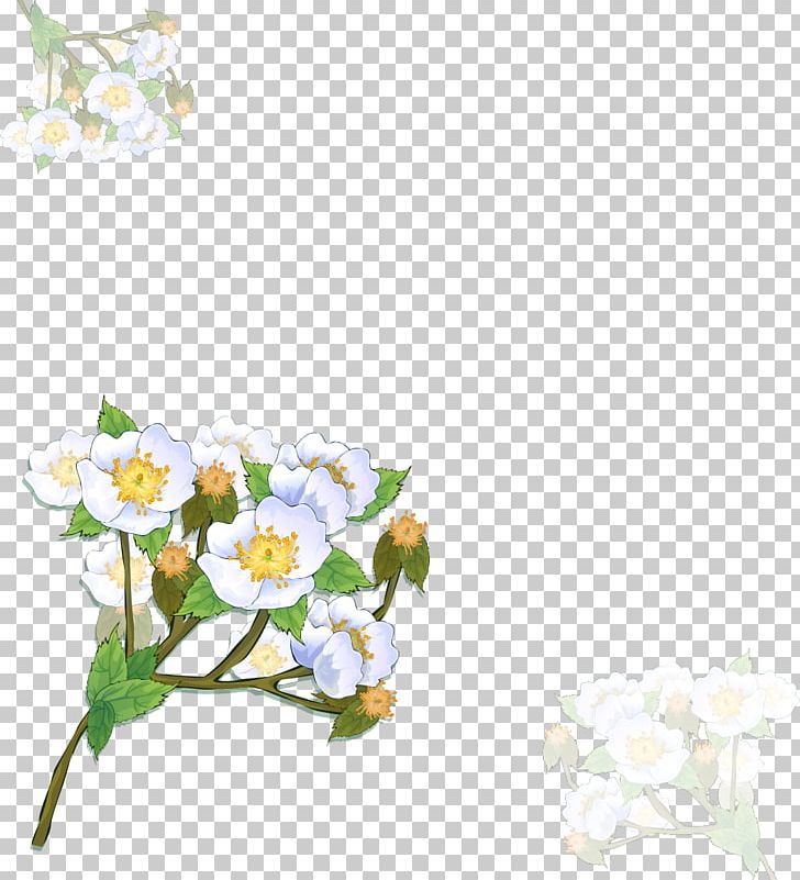 Flower Frames Photography PNG, Clipart, Branch, Cut Flowers, Decoupage, Flora, Floral Design Free PNG Download