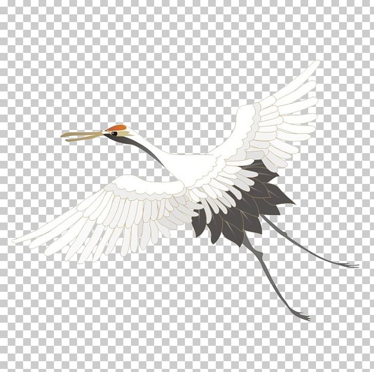 Red-crowned Crane Painting PNG, Clipart, Animal, Beak, Bird, Crane, Crane Like Bird Free PNG Download