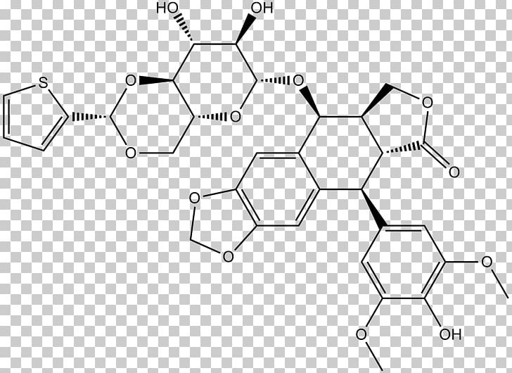 Topoisomerase Inhibitor Teniposide Type II Topoisomerase Enzyme Inhibitor PNG, Clipart, Angle, Black And White, Circle, Damage, Diagram Free PNG Download