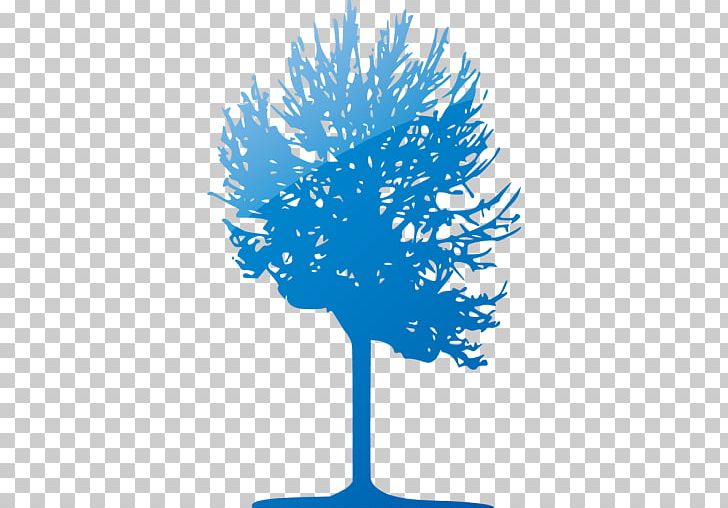 Branch Tree Ornamental Plant Leaf PNG, Clipart, Blue, Branch, Flower, Leaf, Line Free PNG Download