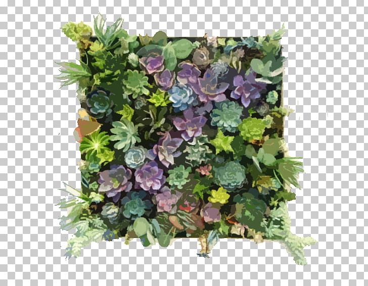 Green Wall Succulent Plant Frames Garden PNG, Clipart, Annual Plant, Cutting, Fence, Floral Design, Flower Free PNG Download